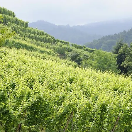 호텔 Rottele's Restaurant & Residenz