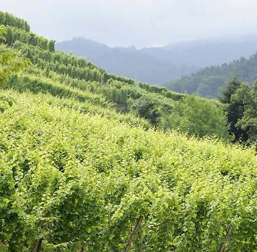 Hotel Rottele's Restaurant & Residenz